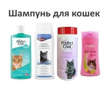 12 лучших шампуней для кошек – рейтинг 2022 года