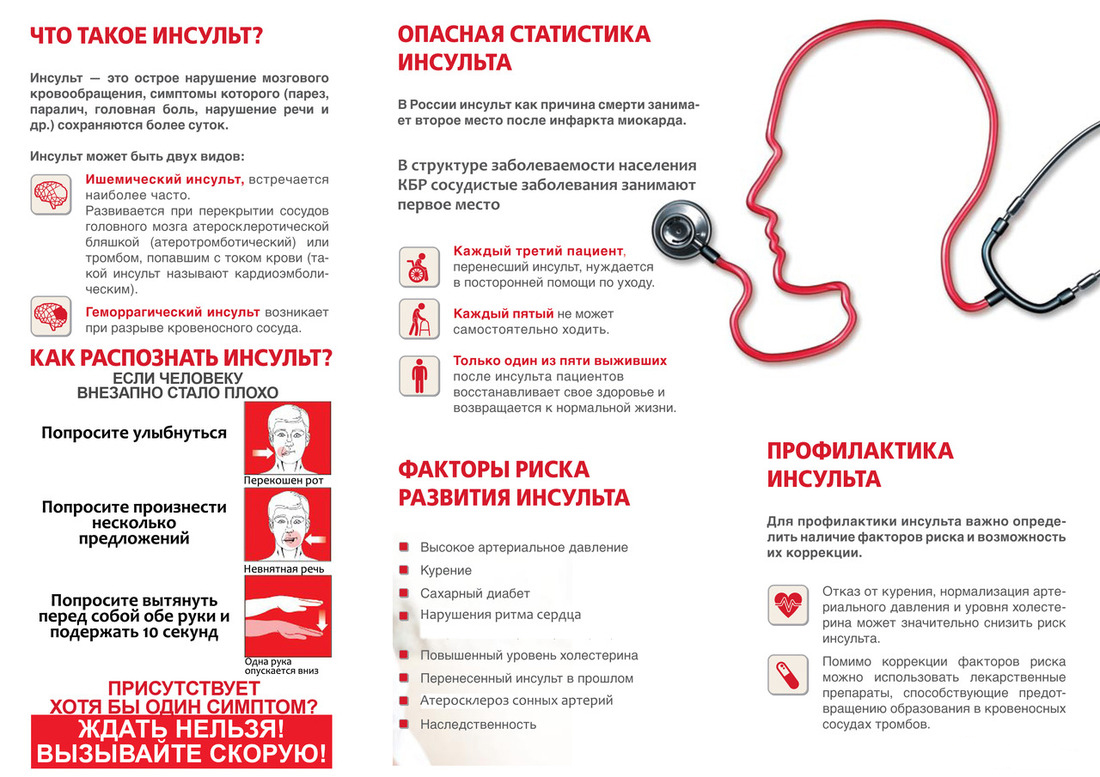 Что представляет собой инсульт у собаки?