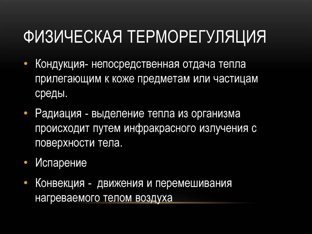 Строение и функции потовых желез у кошек: умеют ли коты потеть на самом деле