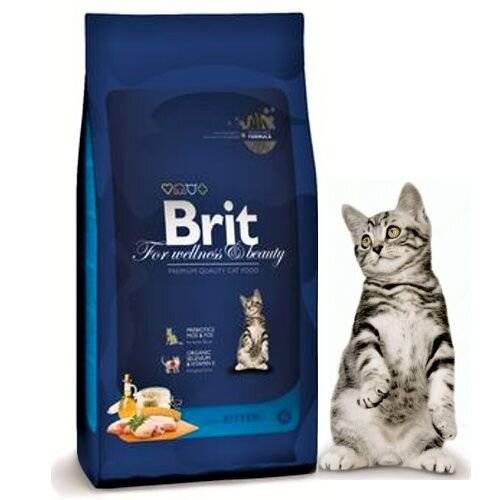 Корм brit care для кошек: отзывы, разбор состава, цена