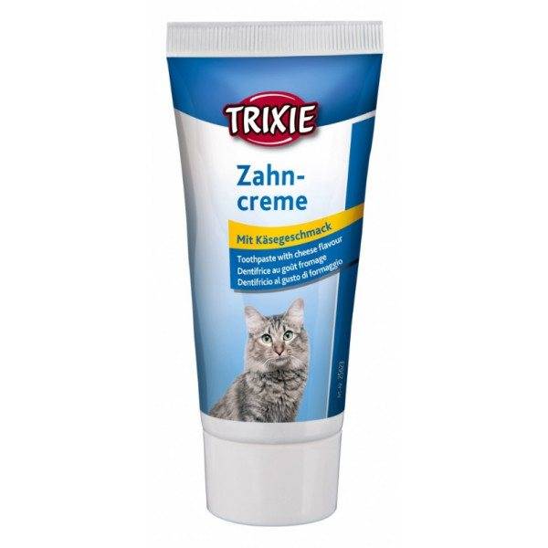 Выбор зубной пасты для кота - oozoo.ru