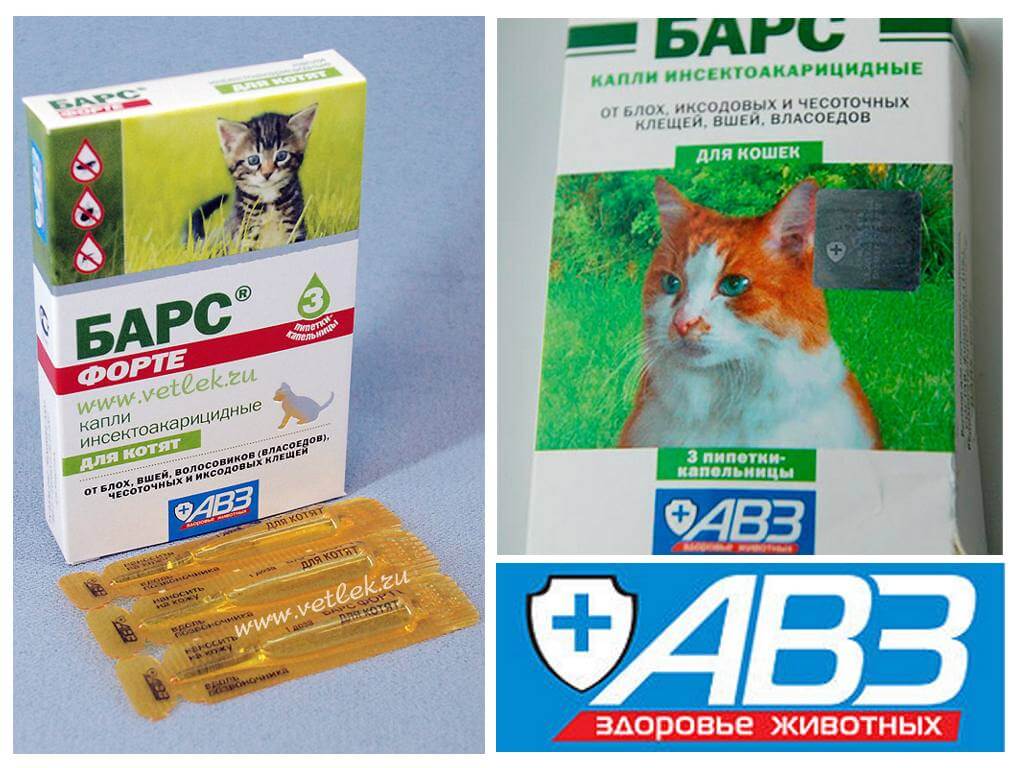Капли инсектоакарицидные «барс» для кошек: инструкция по применению