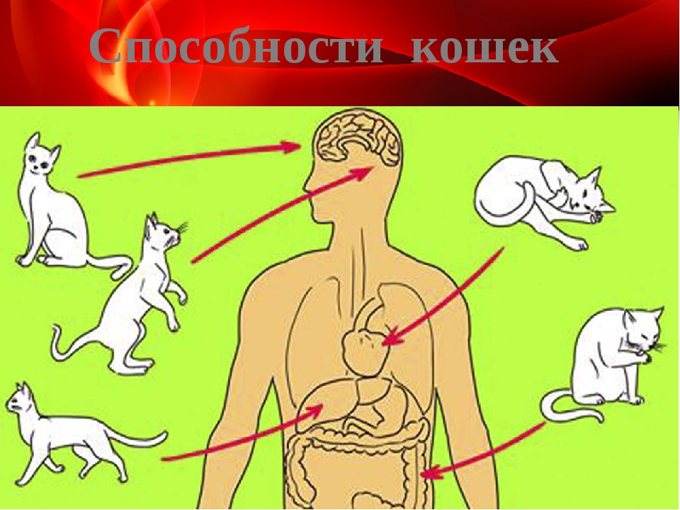 Розовый лишай