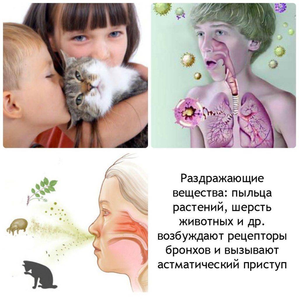 Аллергия на цветение у ребенка  | nutrilak