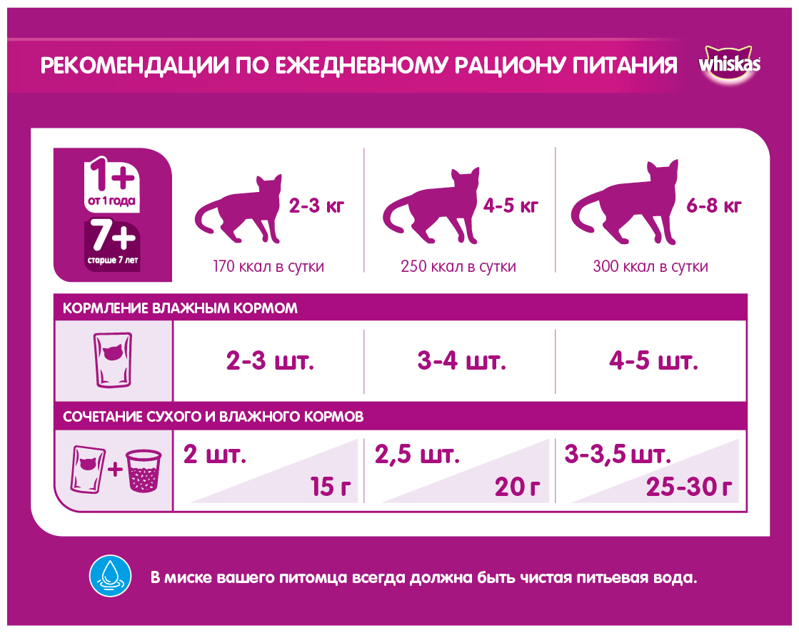 Нормы кормления кошек и котов сухим и влажным кормом