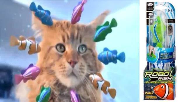 Видео для кошек на мониторе – развлечение для пушистиков