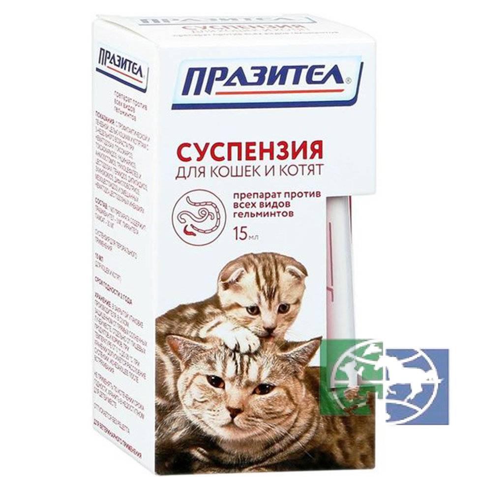 Празител для кошек и котов (таблетки и суспензия): инструкция по применению у взрослых животных и котят, отзывы, аналоги