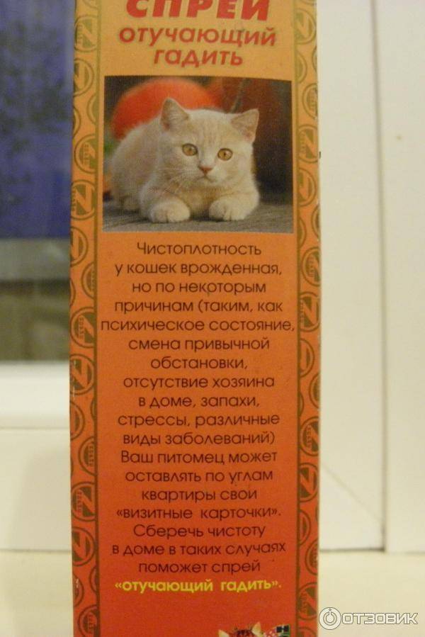 Как отучить кошку гадить в неположенном месте