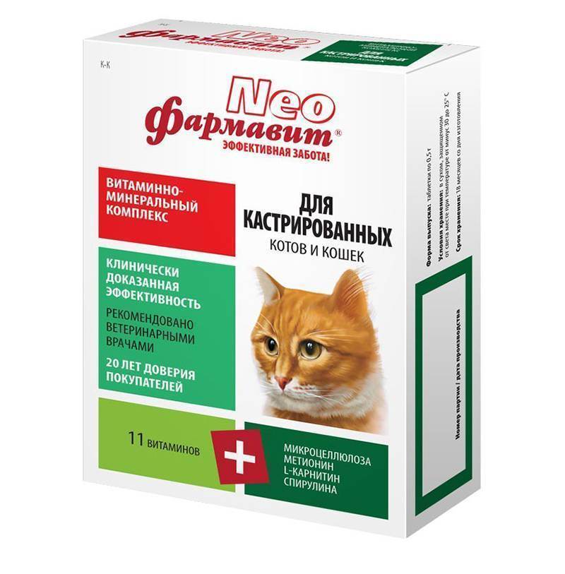 Витамины для кошек стерилизованных — рассмотрим во всех подробностях