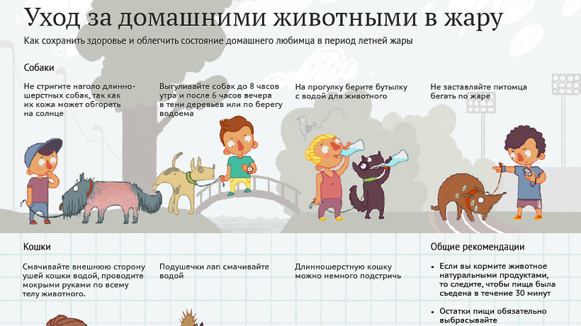 Текст песни отпетые мошенники - лето это на сайте rus-songs.ru