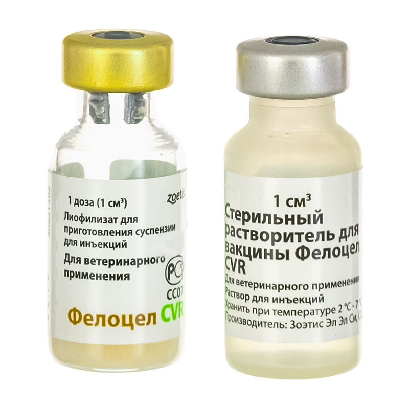 Вакцина для кошек фелиген: состав и форма выпуска, инструкция по применению, показания и противопоказания, аналоги, отзывы