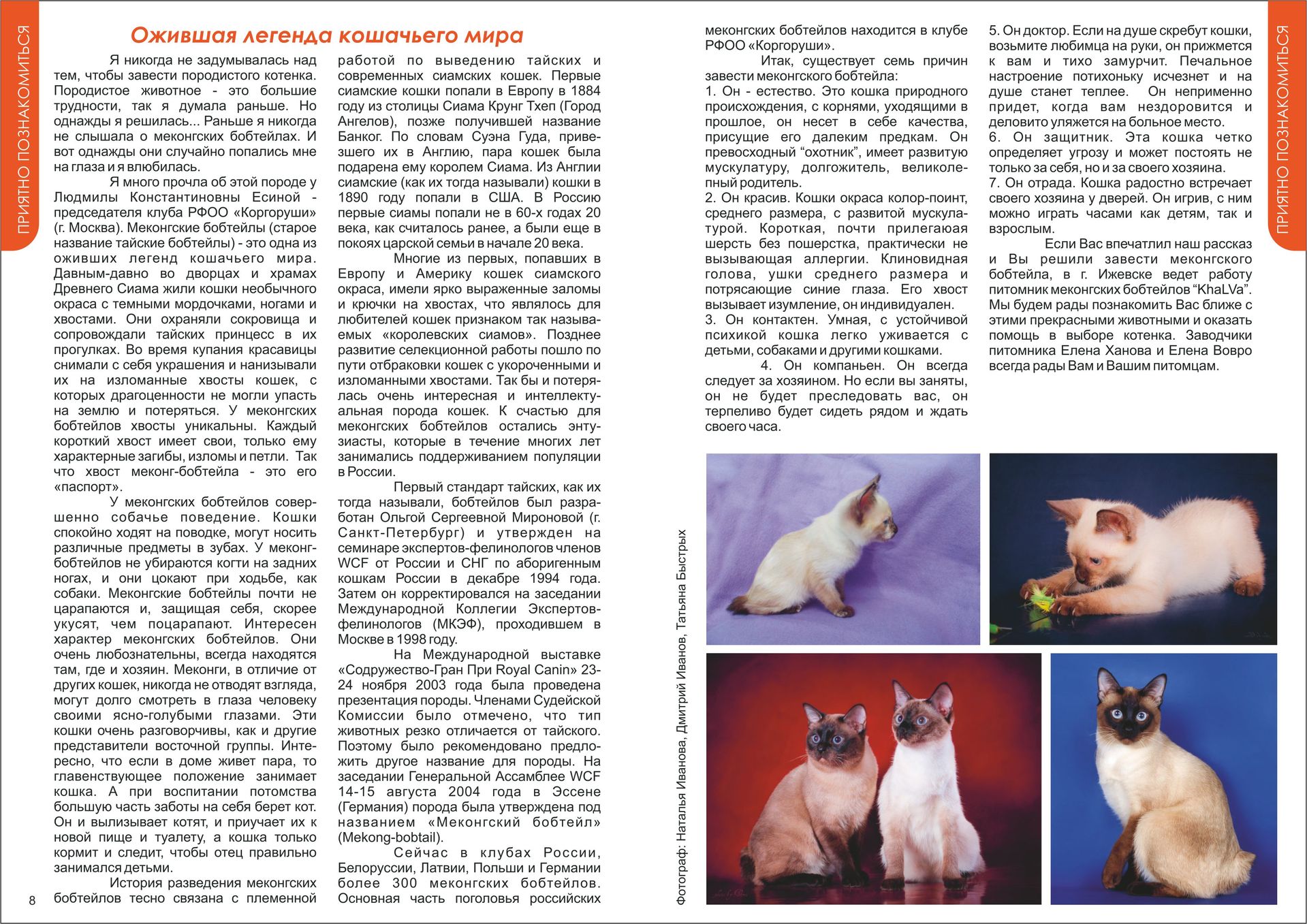 Бобтейл кошка: история породы, характерные особенности, заболевания, рацион