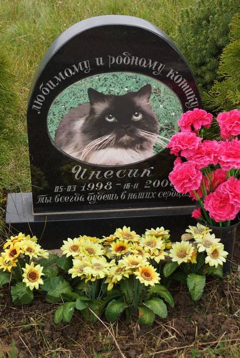 Как хоронят котов домашних в православии. где и как правильно похоронить кошку (деликатная тема)