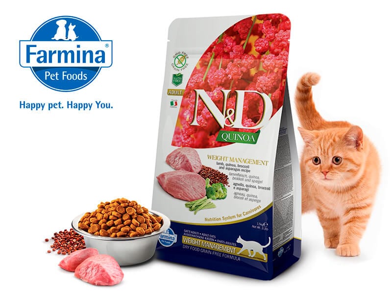 Корм для кошек farmina («фармина»): отзывы ветеринаров и владельцев животных о нем, его состав и виды, плюсы и минусы