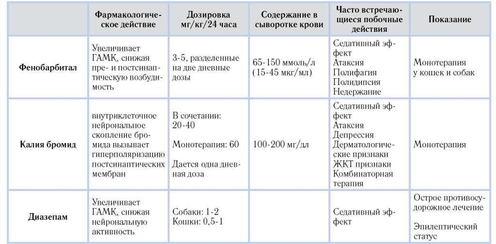 Эпилепсия – как распознать и лечить болезнь? современные методы диагностики в цэлт.