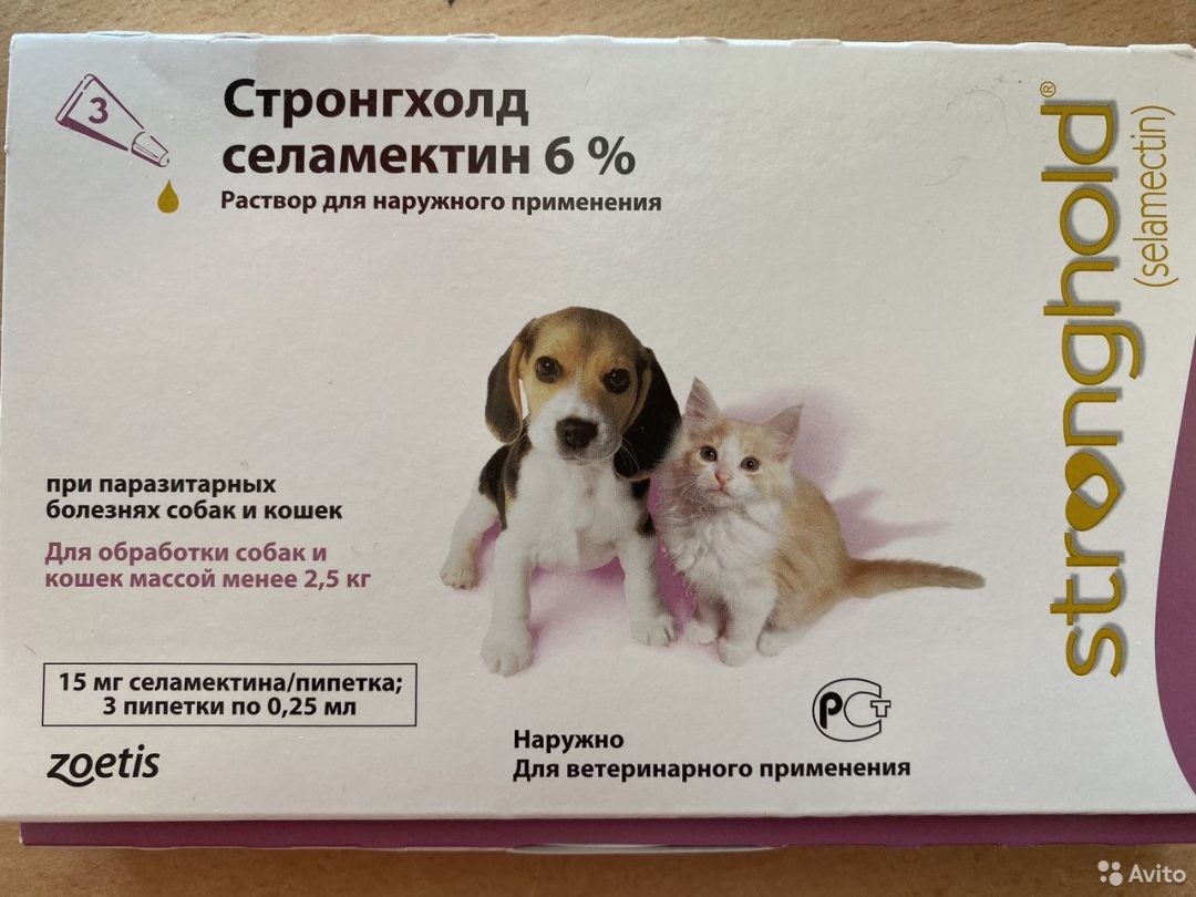 Стронгхолд для собак