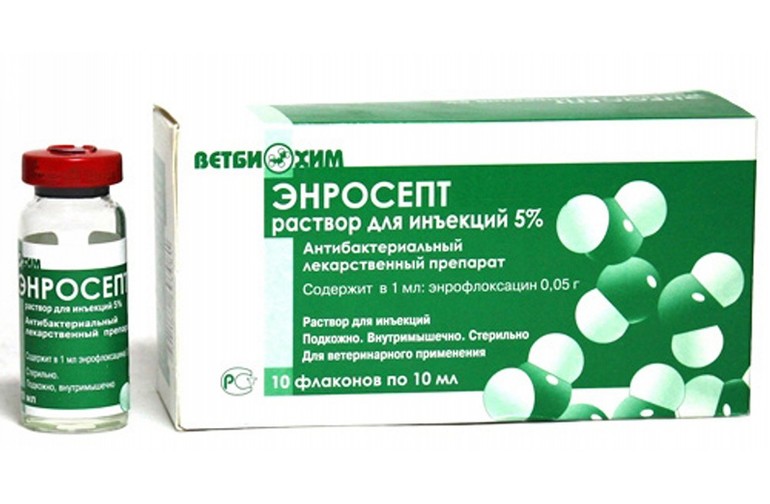 Энросепт для кошек