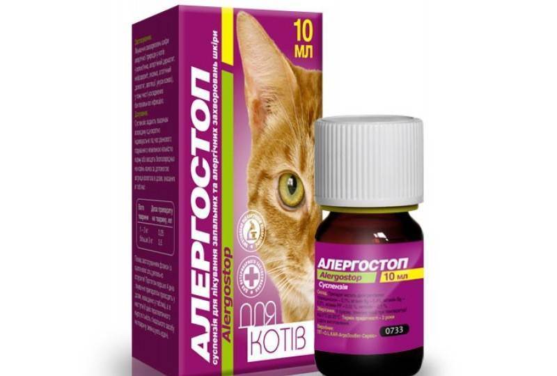 Список и способы применения антигистаминных препаратов для кошки против аллергии