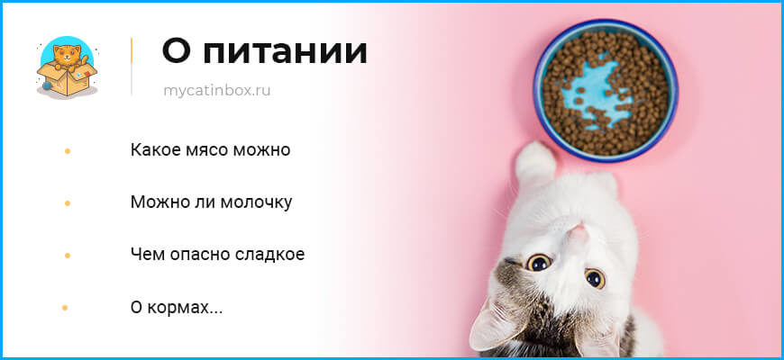 Минусы сладкого. Какие продукты нельзя давать кошкам. Чем нельзя кормить кошек. Место для еды кошки. Овощи которые можно кошкам и котам.