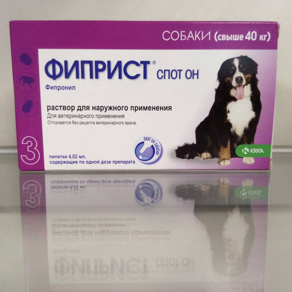 Инструкция по применению препарата фиприст спот он для собак и кошек — рассматриваем со всех сторон