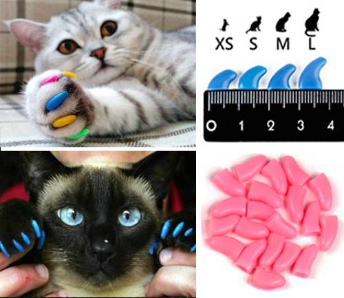 Антицарапки для кошек и котов | фото, цена, инструкция, отзывы