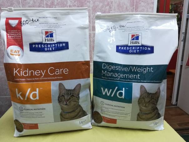 Как выбрать сухой корм для кошки?