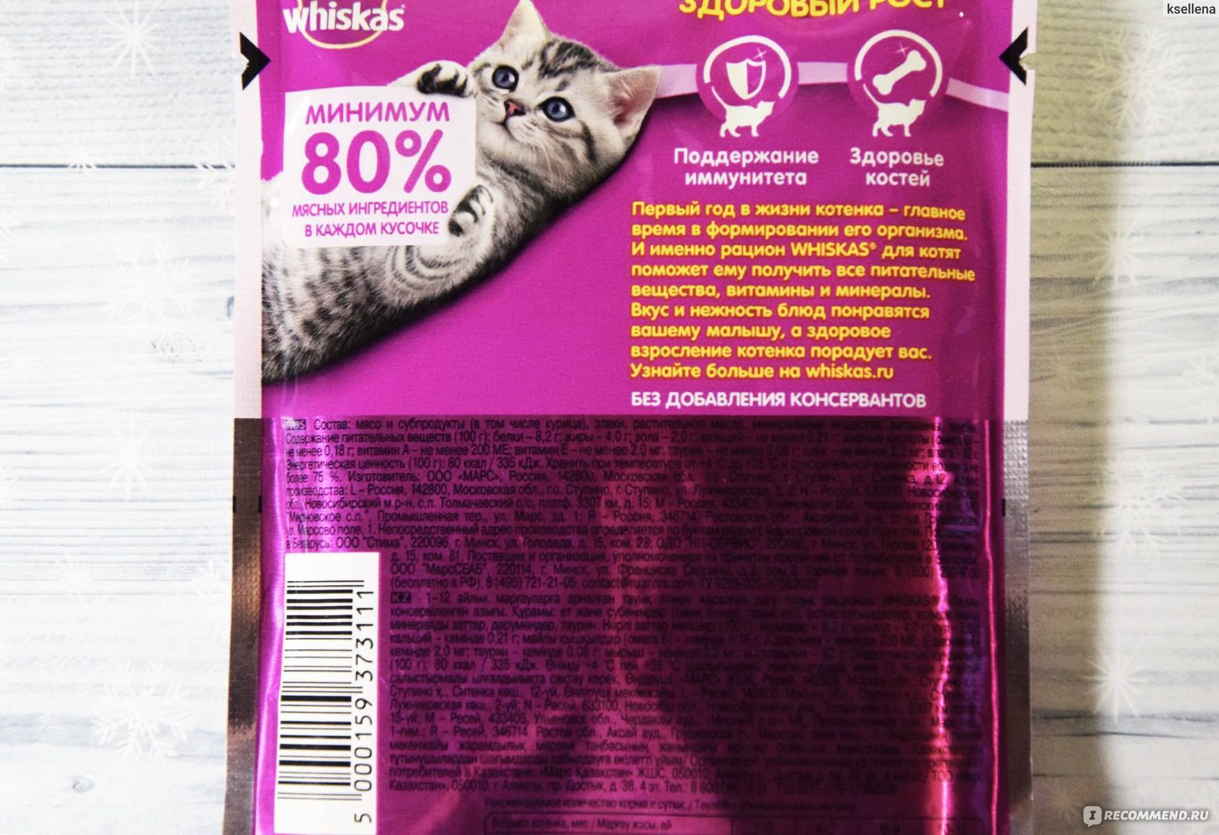 Влажные корма для кошек: обзор, производители, рейтинг по качеству, отзывы ветеринаров