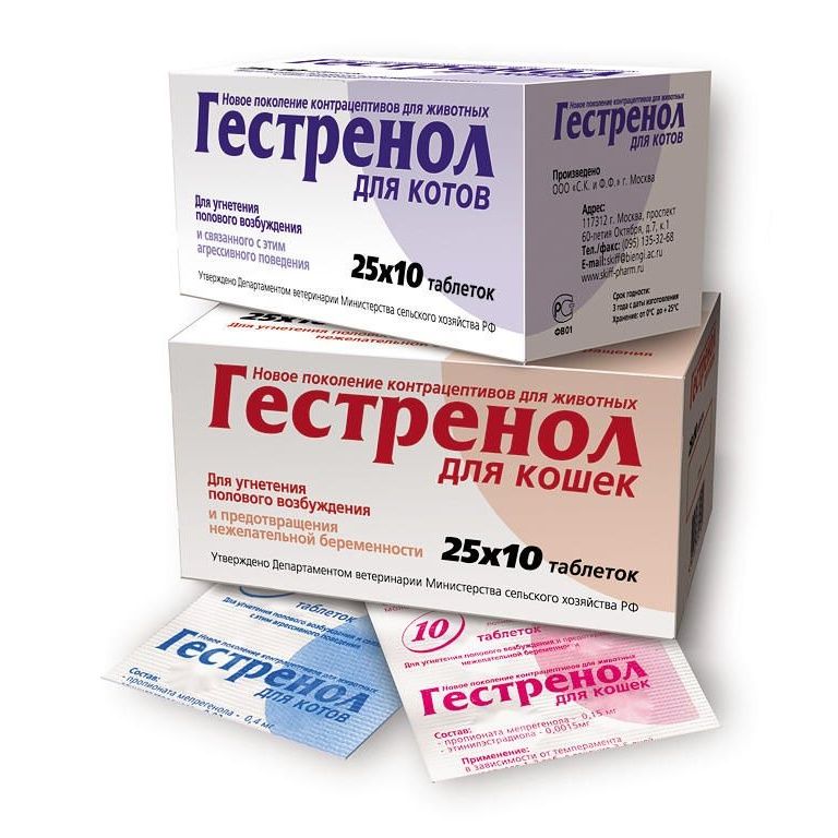 Чем опасны гормональные контрацептивы для кошек