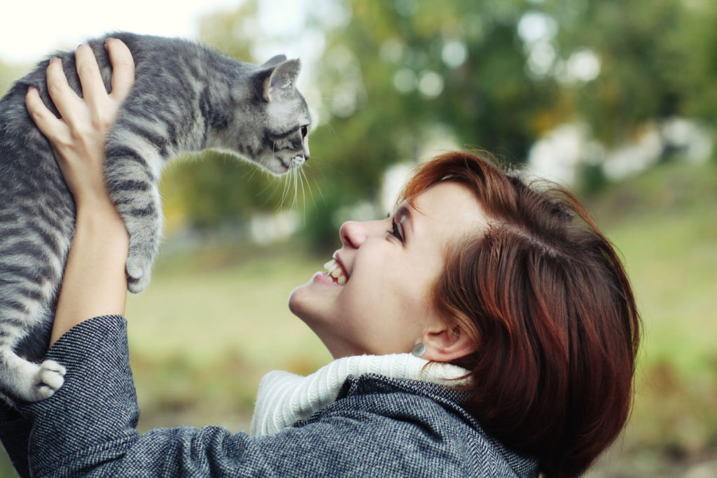 Любят ли кошки своих хозяев? как понять, что кот любит?