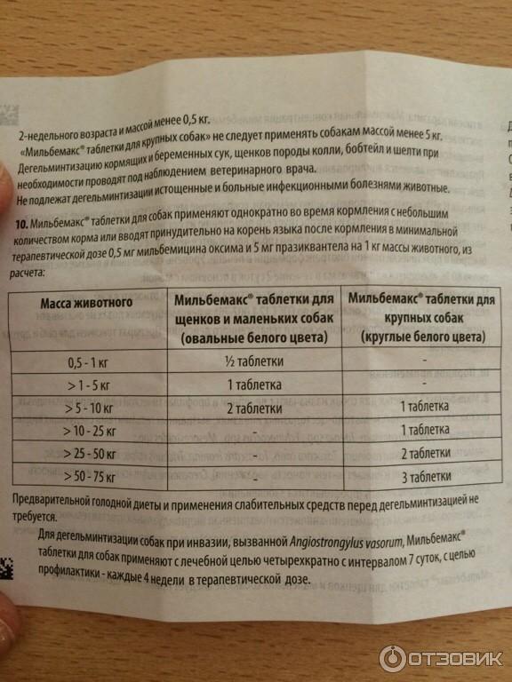 Мильбемакс для кошек схема приема