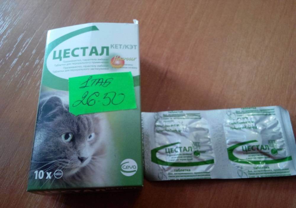 Цестал для кошек: безопасный и эффективный противоглистный препарат