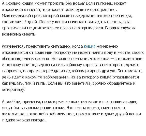 Сколько времени может прожить человек без воды. Сколько кошки могут прожить без еды. Колько кошка может прожить без еды и воды. Сколько кошки могут без воды. Сколько может жить кот без еды.