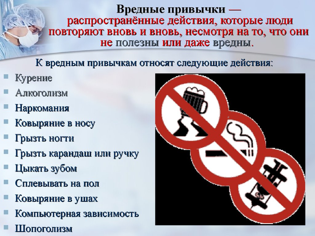 7 полезных лайфхаков для владельцев домашних животных: новости, кошки, питомцы, поведение, проблемы, лайфхаки, домашние животные