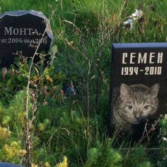 Захоронение домашнего животного у православных: можно ли хоронить на кладбище или нет, особенности процедуры