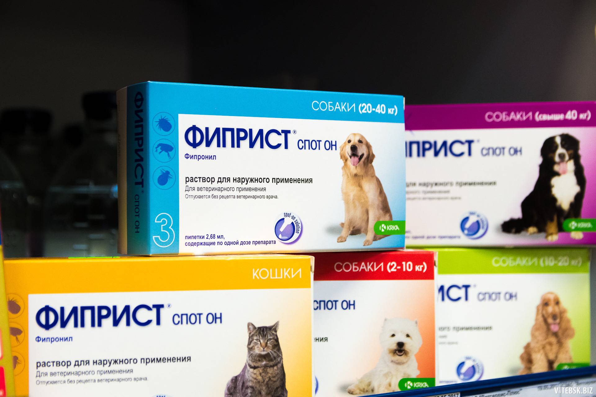 «фиприст» для кошек: инструкция по применению препарата от блох и побочные эффекты