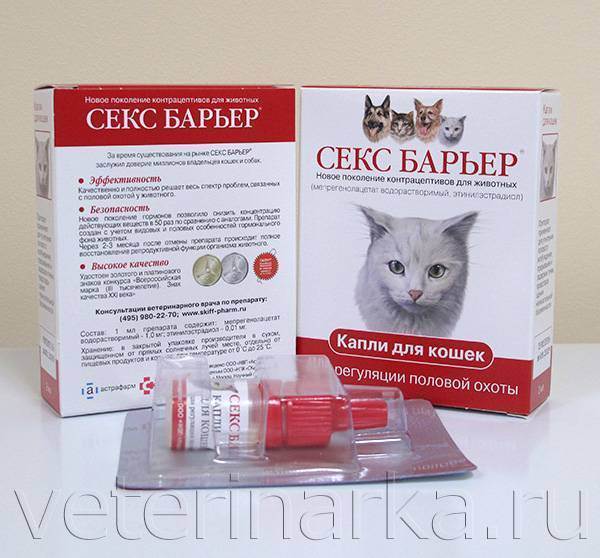 Препараты для кошек от течки: изучаем суть