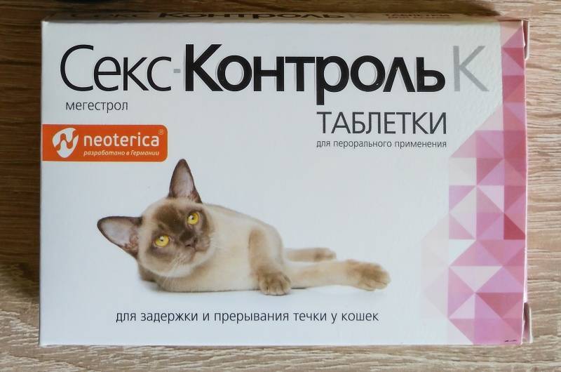 Капли для кошек во время течки - обзор препаратов