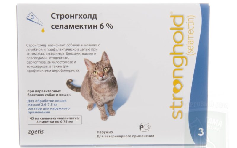 Где находится холка у кошки – особенности строения и использования этой части тела животного