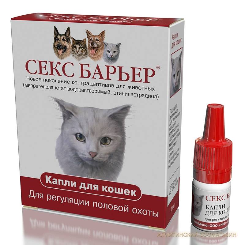 Гестренол Для Кошек Капли Цена