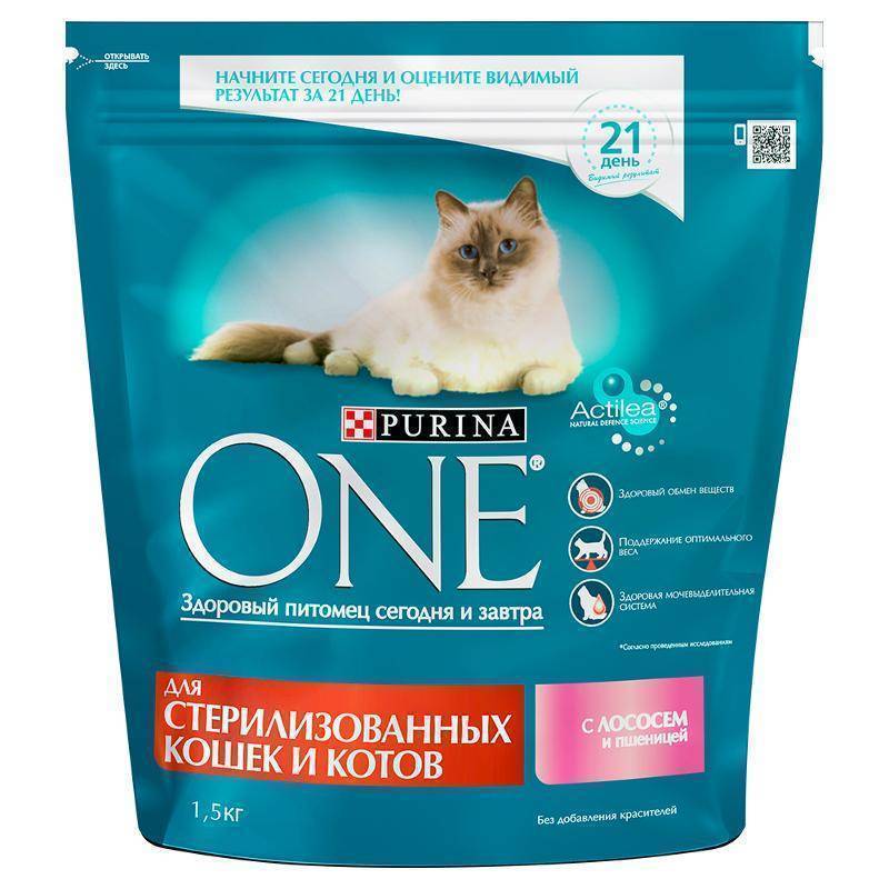Корм purina one для кошек: сухой, влажный, отзывы ветеринаров