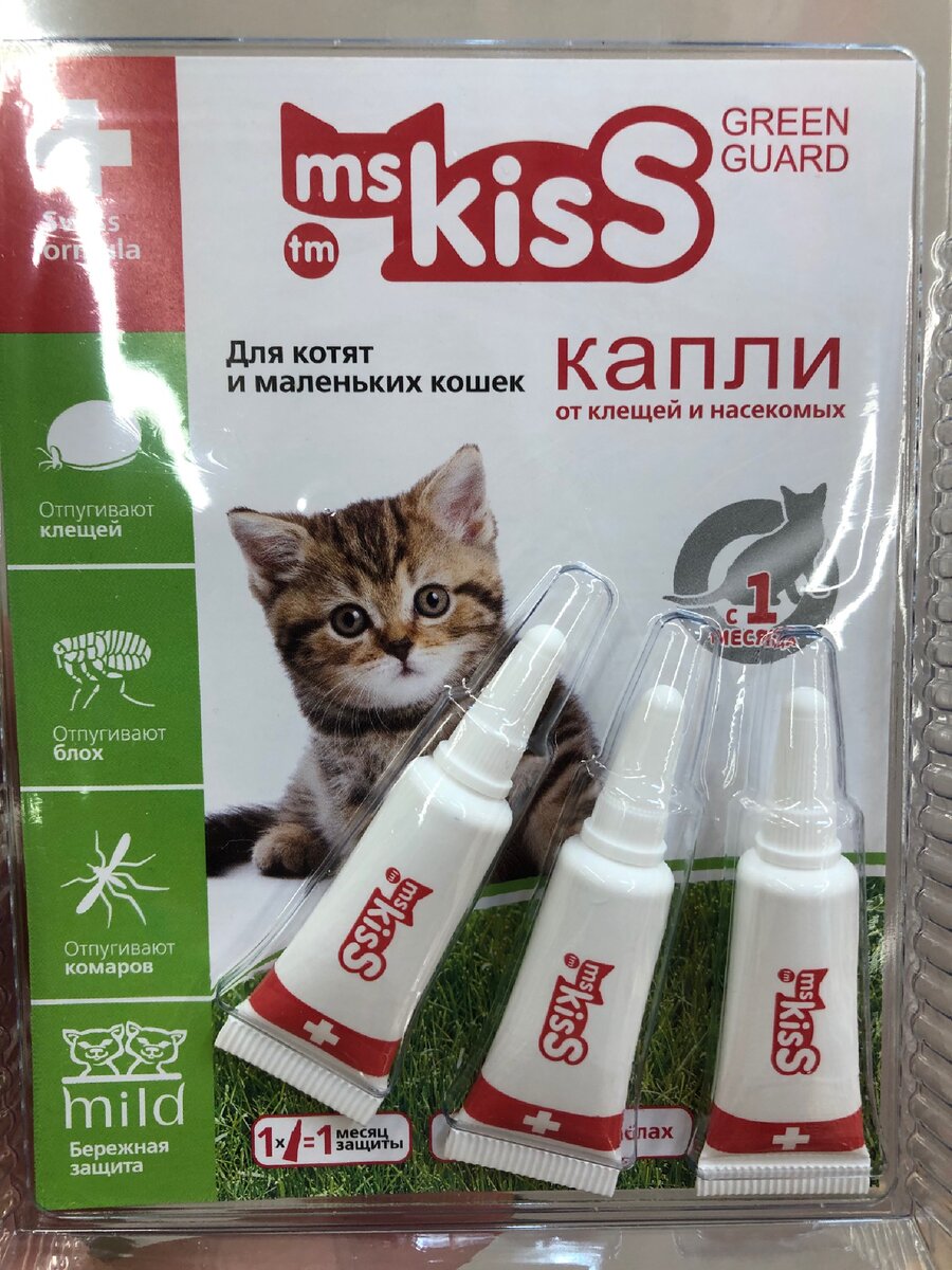 Кошка слизала капли от блох: что будет, что делать и насколько опасно