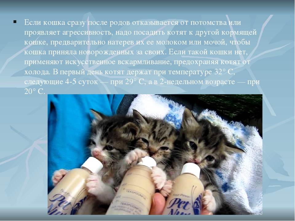 Причины боли и кожных изменений соска и околососковой области