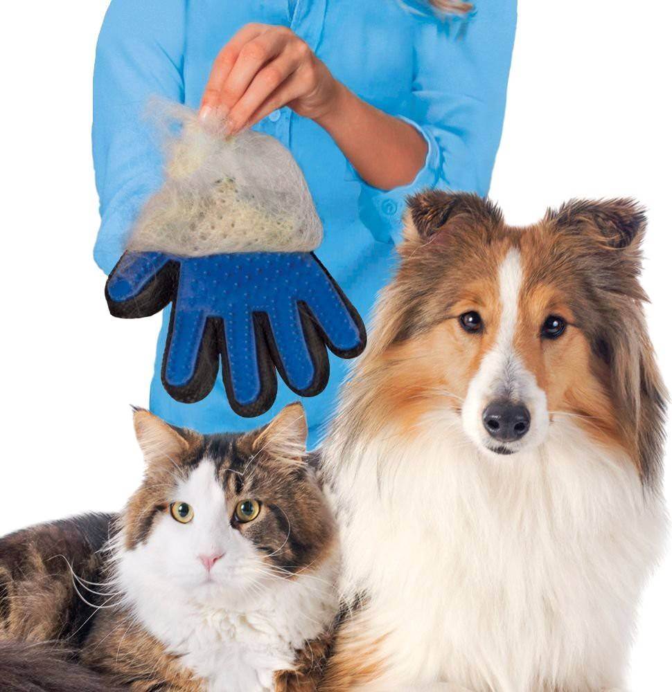 Чесалка для кошек. виды и правила применения покупных и самодельных присбособлений