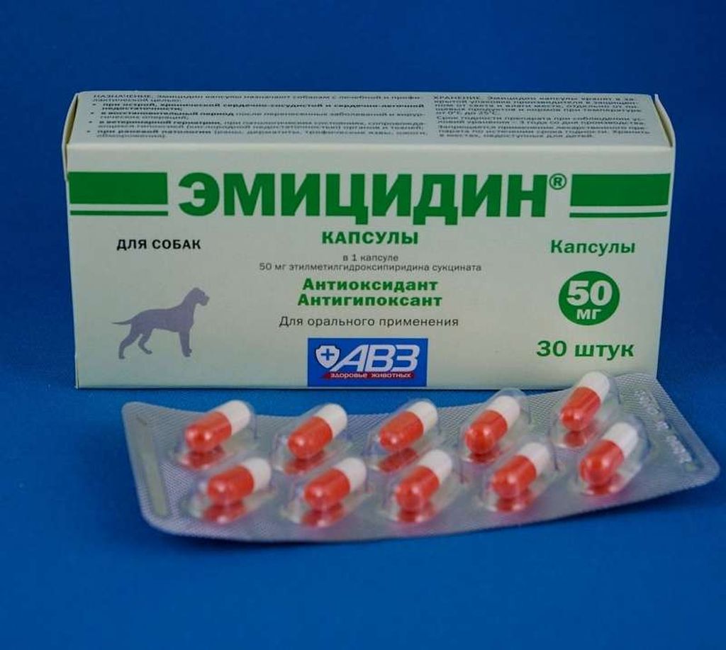 «эмицидин» для собак и кошек: инструкция по применению