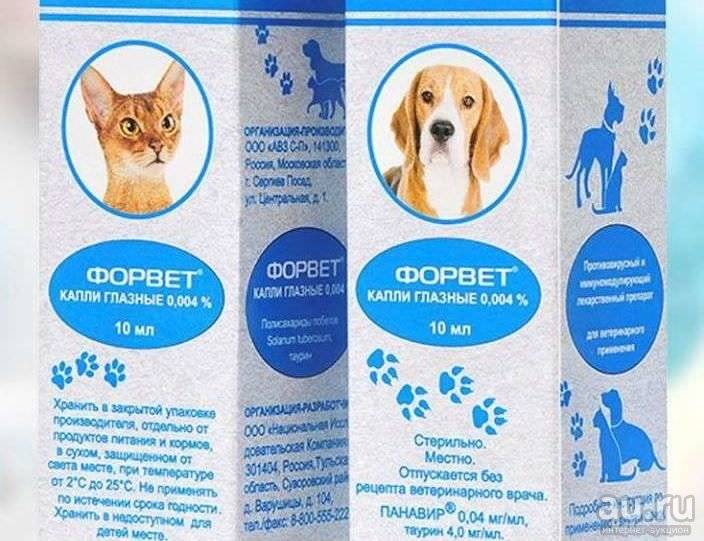 Форвет для кошек- инструкция по применению - oozoo.ru
