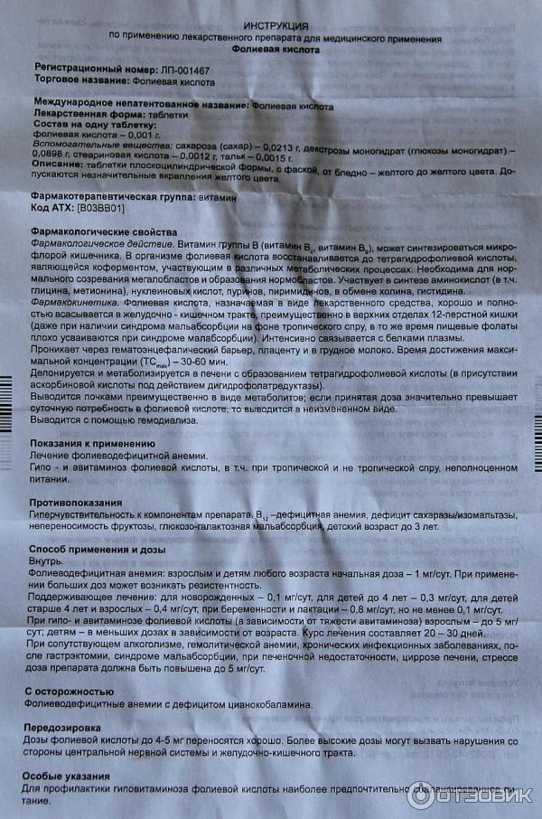 Правильное питание во время беременности - советы по правильному питанию - agulife.ru