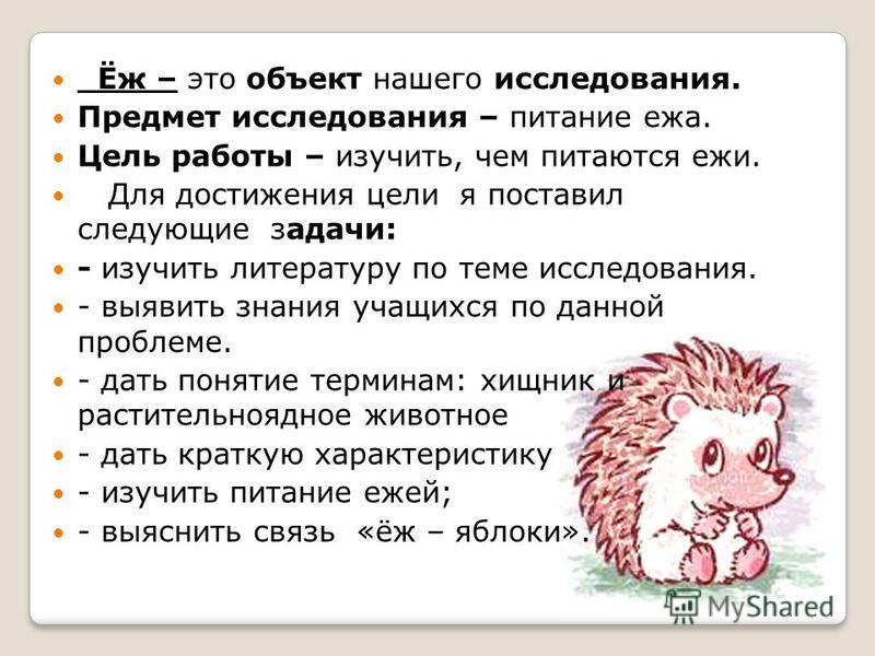 Почему ежа нельзя поить молоком? - gafki.ru