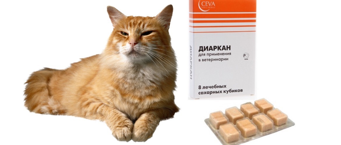 Препарат диаркан для собак и кошек лечение инфекционных диарей 1/8 штучно