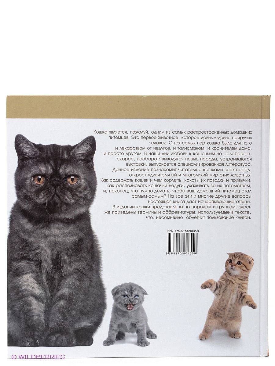 ᐉ повадки кошек что они обозначают - zooshop-76.ru