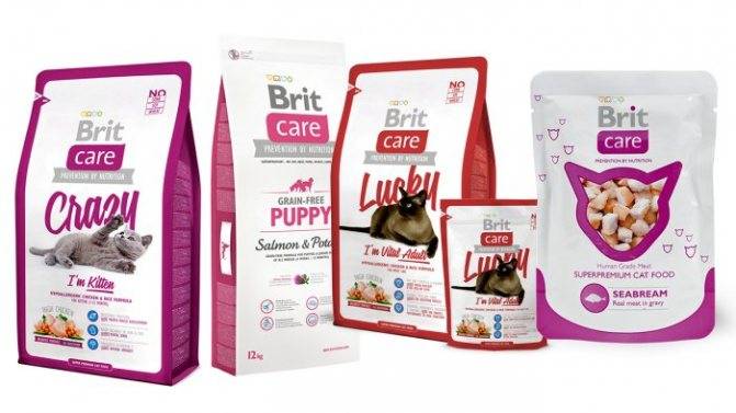 Brit premium корм для кошек: отзывы, где купить, состав